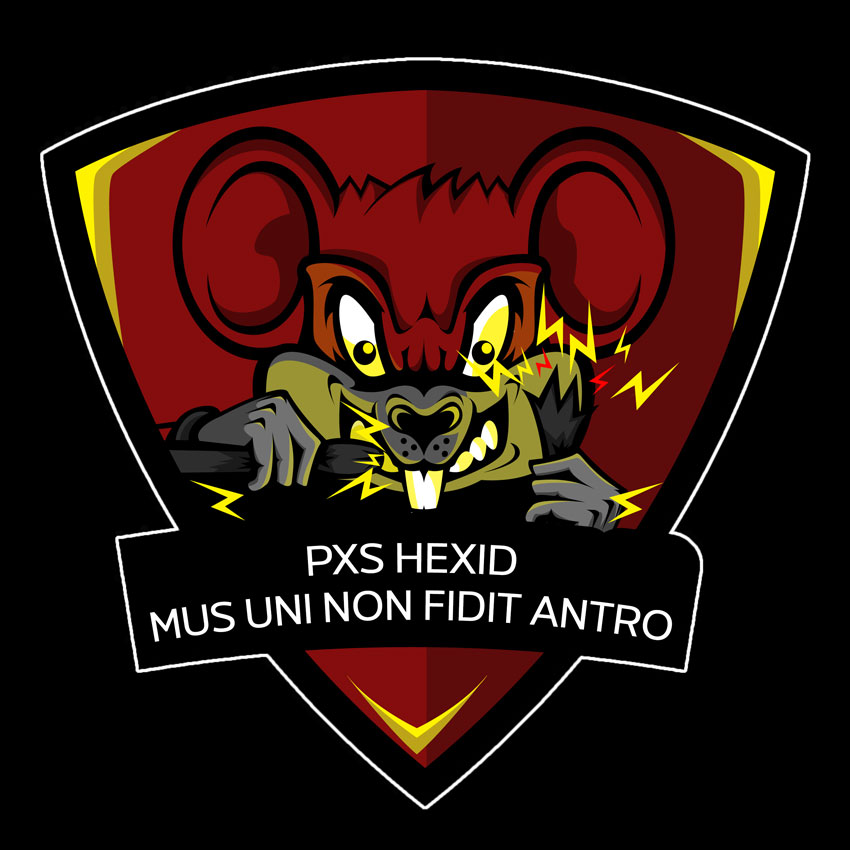 Crazy Mouse is a licensed logo of the related PXS cyber security courses